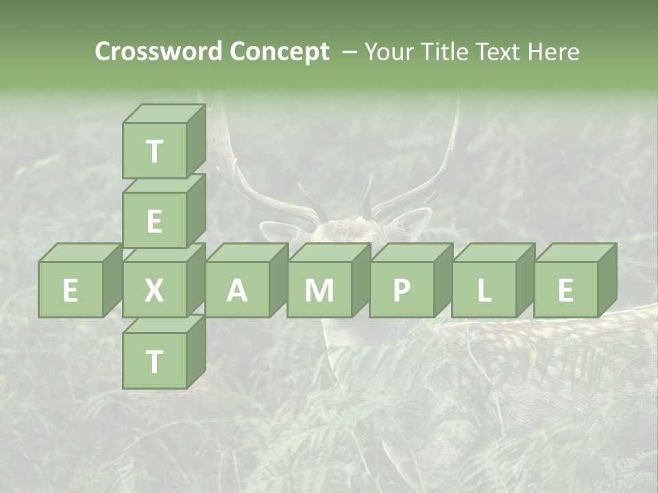 A Deer Standing In The Middle Of A Forest PowerPoint Template