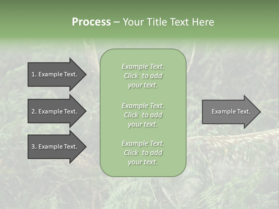 A Deer Standing In The Middle Of A Forest PowerPoint Template