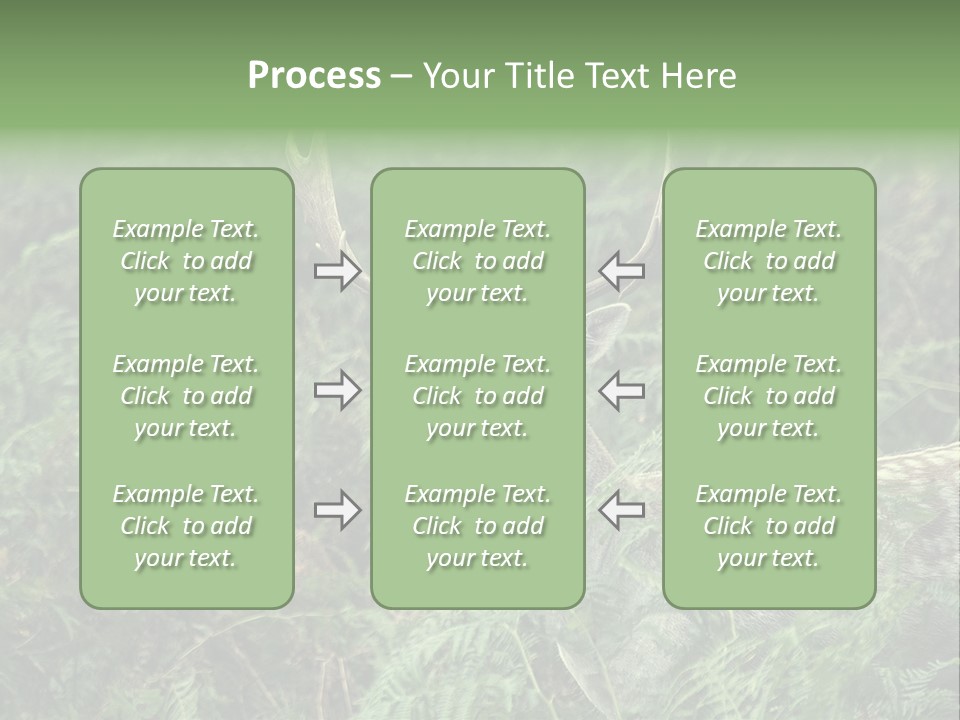 A Deer Standing In The Middle Of A Forest PowerPoint Template