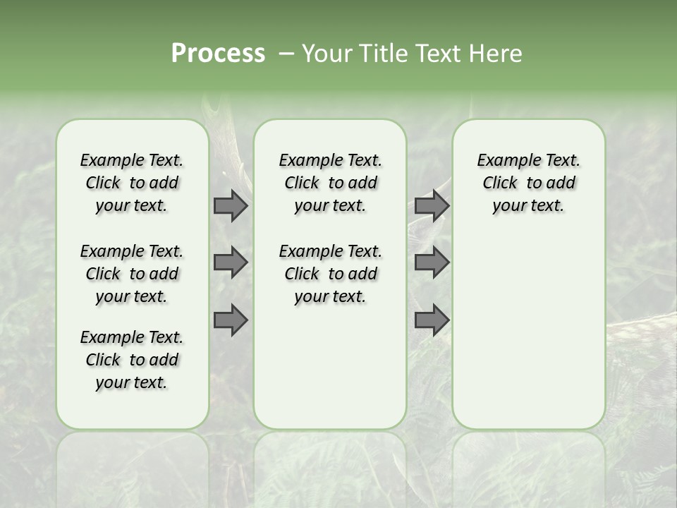 A Deer Standing In The Middle Of A Forest PowerPoint Template