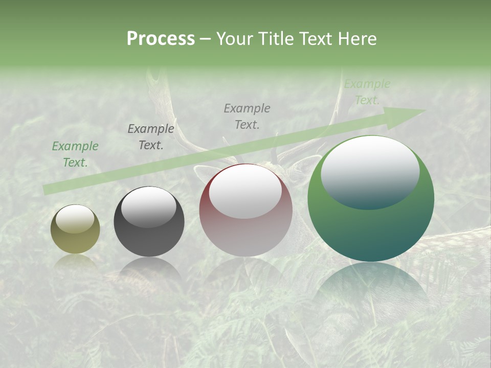 A Deer Standing In The Middle Of A Forest PowerPoint Template