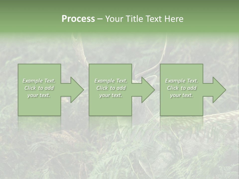 A Deer Standing In The Middle Of A Forest PowerPoint Template