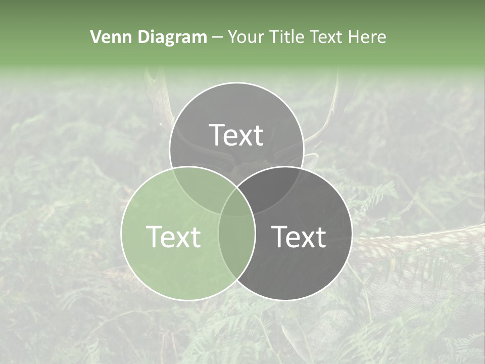 A Deer Standing In The Middle Of A Forest PowerPoint Template