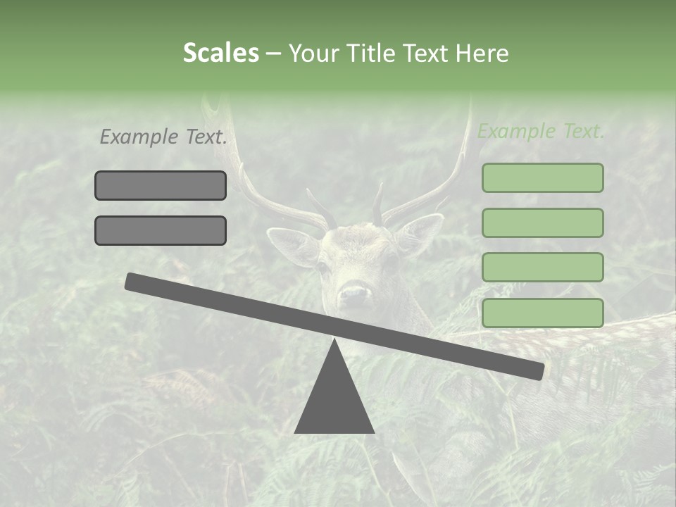 A Deer Standing In The Middle Of A Forest PowerPoint Template