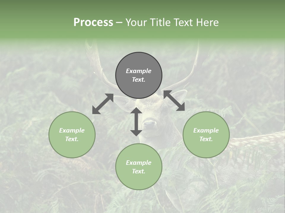 A Deer Standing In The Middle Of A Forest PowerPoint Template
