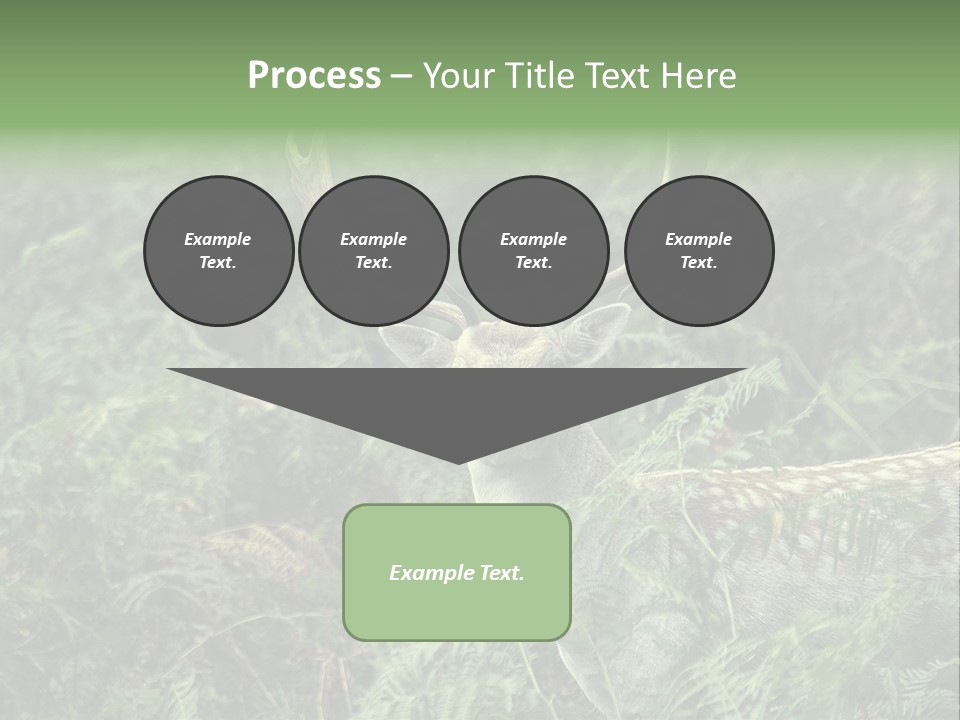 A Deer Standing In The Middle Of A Forest PowerPoint Template
