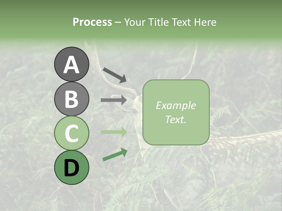 A Deer Standing In The Middle Of A Forest PowerPoint Template