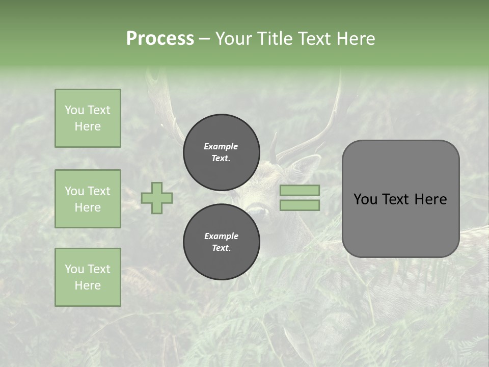 A Deer Standing In The Middle Of A Forest PowerPoint Template