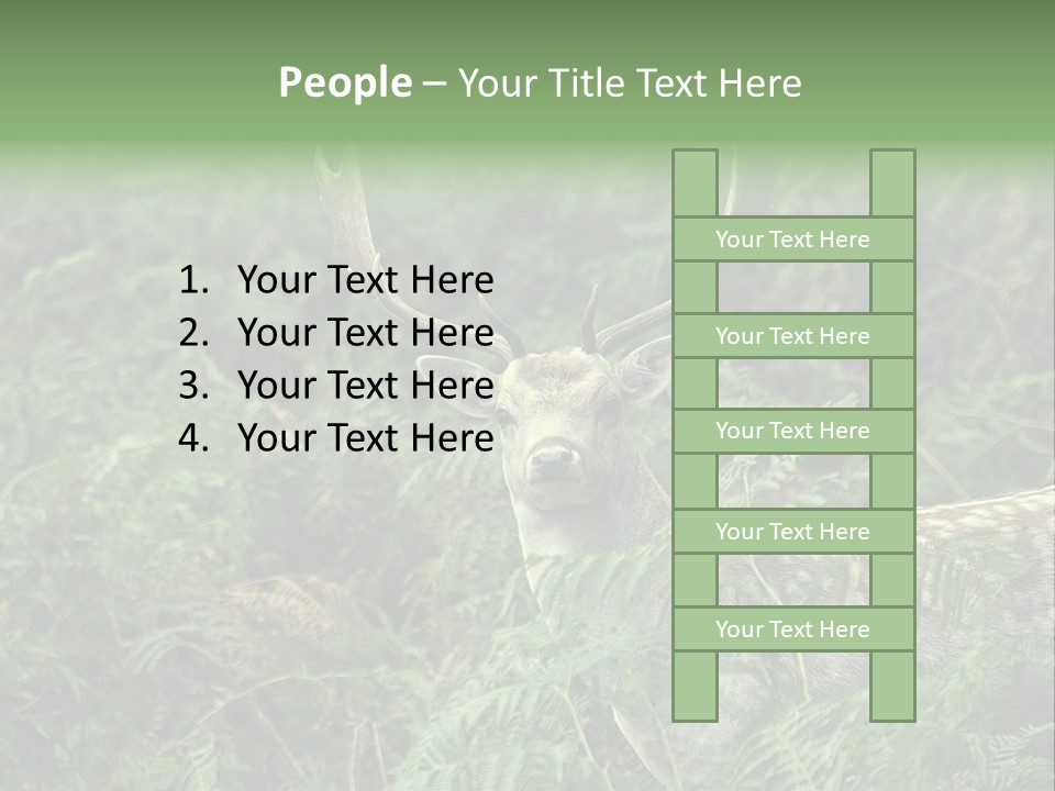 A Deer Standing In The Middle Of A Forest PowerPoint Template