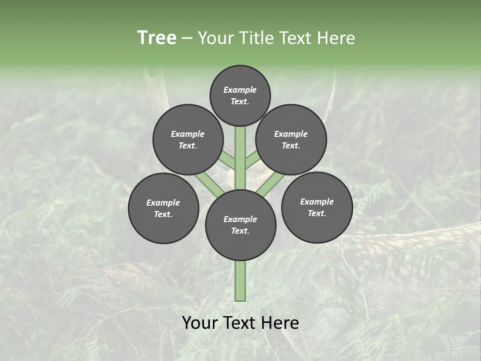 A Deer Standing In The Middle Of A Forest PowerPoint Template
