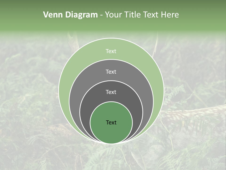A Deer Standing In The Middle Of A Forest PowerPoint Template