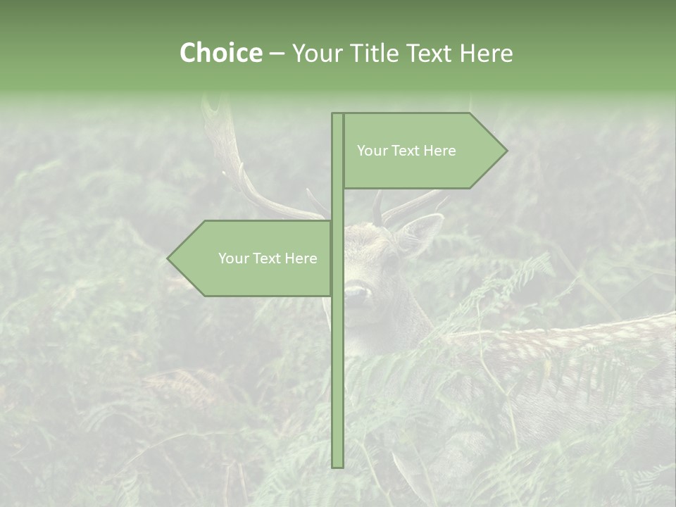 A Deer Standing In The Middle Of A Forest PowerPoint Template