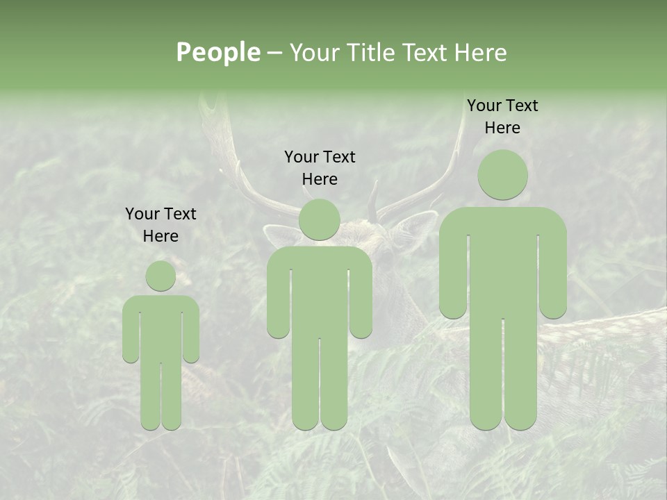 A Deer Standing In The Middle Of A Forest PowerPoint Template