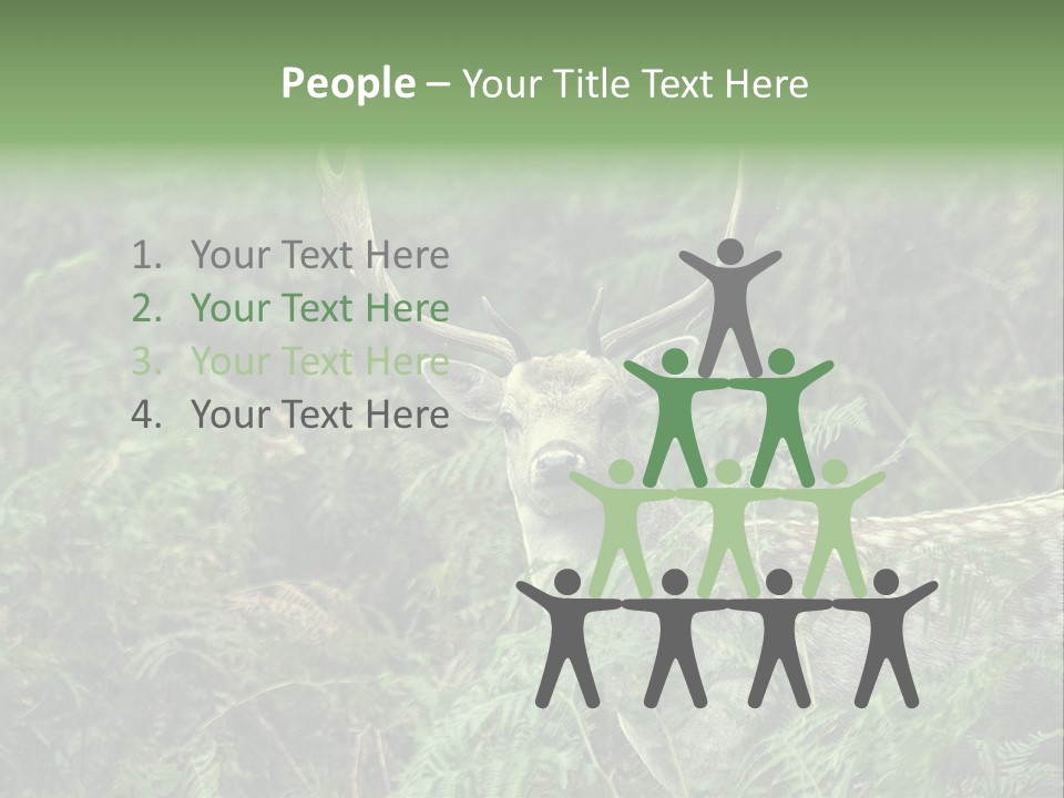 A Deer Standing In The Middle Of A Forest PowerPoint Template