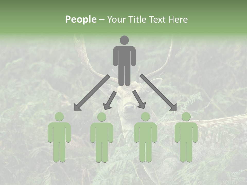 A Deer Standing In The Middle Of A Forest PowerPoint Template