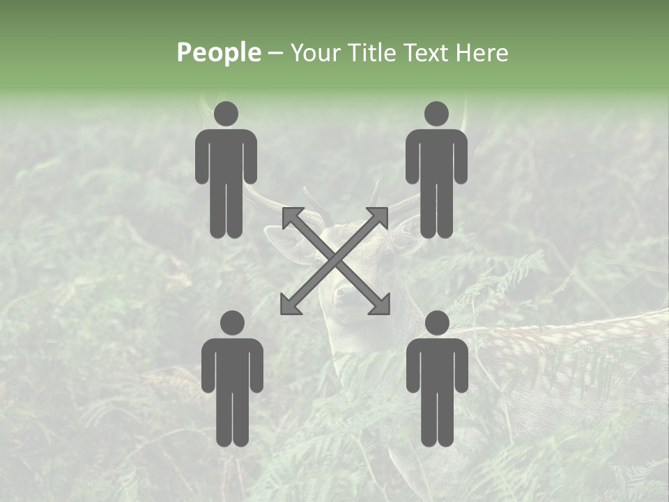 A Deer Standing In The Middle Of A Forest PowerPoint Template