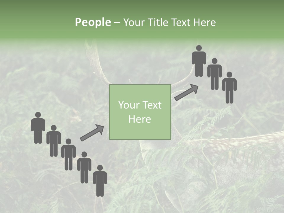 A Deer Standing In The Middle Of A Forest PowerPoint Template