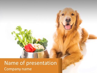 A Dog Sitting Next To A Bowl Of Vegetables PowerPoint Template