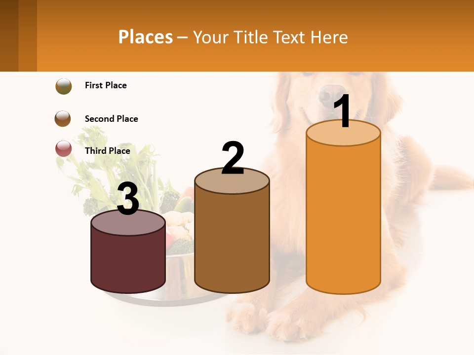 A Dog Sitting Next To A Bowl Of Vegetables PowerPoint Template
