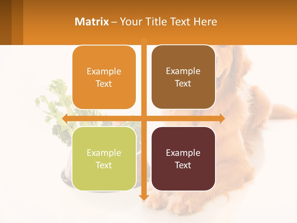 A Dog Sitting Next To A Bowl Of Vegetables PowerPoint Template