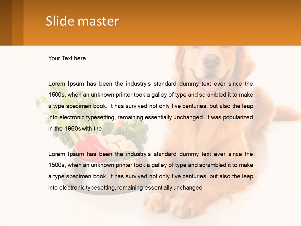 A Dog Sitting Next To A Bowl Of Vegetables PowerPoint Template