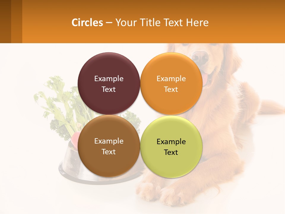 A Dog Sitting Next To A Bowl Of Vegetables PowerPoint Template