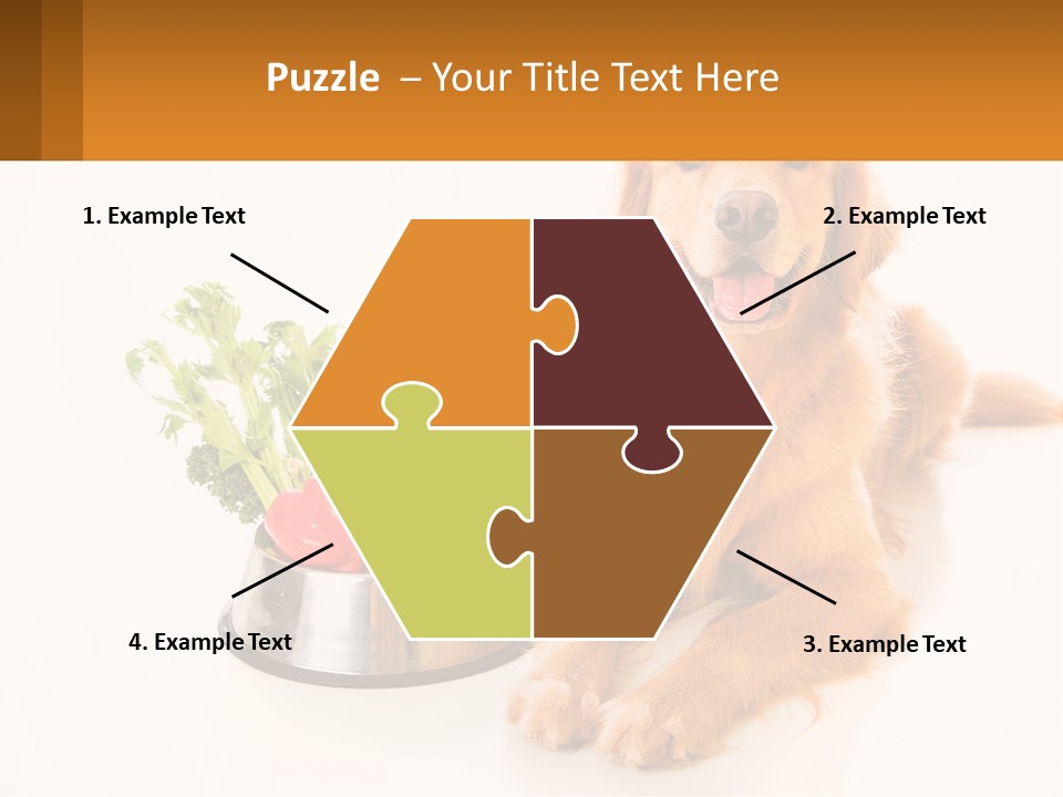 A Dog Sitting Next To A Bowl Of Vegetables PowerPoint Template