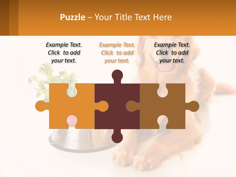 A Dog Sitting Next To A Bowl Of Vegetables PowerPoint Template