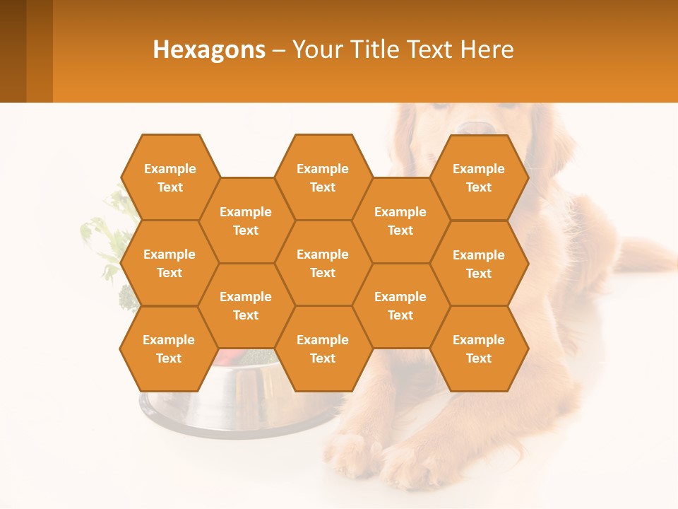 A Dog Sitting Next To A Bowl Of Vegetables PowerPoint Template