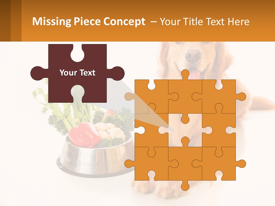 A Dog Sitting Next To A Bowl Of Vegetables PowerPoint Template