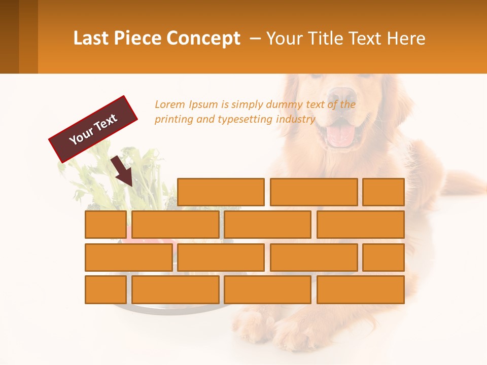 A Dog Sitting Next To A Bowl Of Vegetables PowerPoint Template