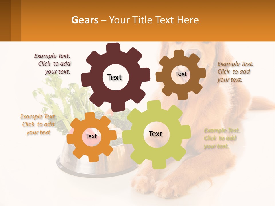 A Dog Sitting Next To A Bowl Of Vegetables PowerPoint Template