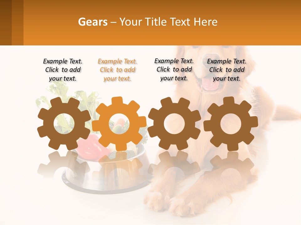 A Dog Sitting Next To A Bowl Of Vegetables PowerPoint Template