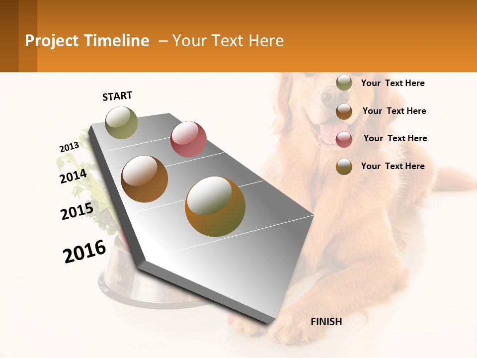 A Dog Sitting Next To A Bowl Of Vegetables PowerPoint Template