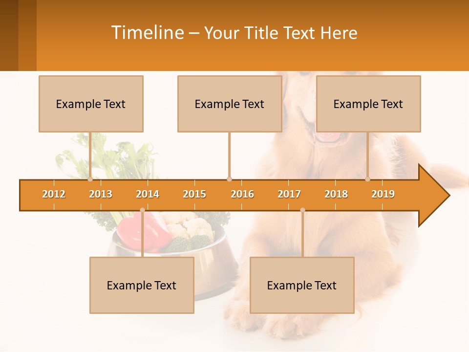 A Dog Sitting Next To A Bowl Of Vegetables PowerPoint Template