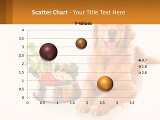 A Dog Sitting Next To A Bowl Of Vegetables PowerPoint Template