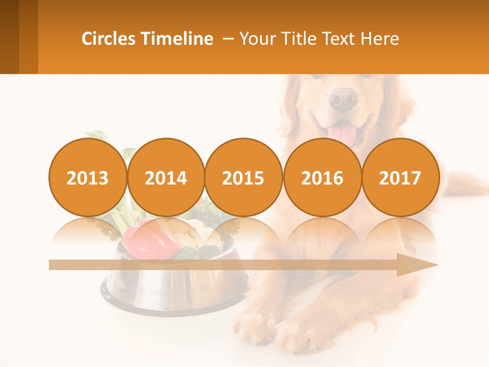 A Dog Sitting Next To A Bowl Of Vegetables PowerPoint Template