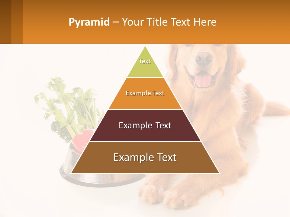 A Dog Sitting Next To A Bowl Of Vegetables PowerPoint Template