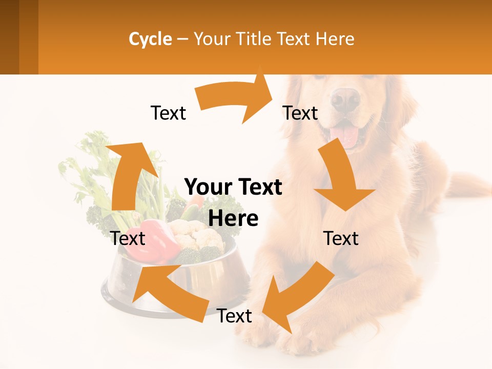 A Dog Sitting Next To A Bowl Of Vegetables PowerPoint Template