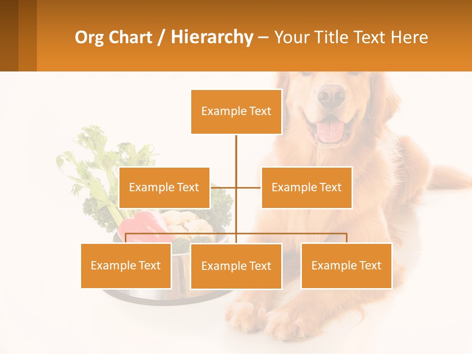 A Dog Sitting Next To A Bowl Of Vegetables PowerPoint Template