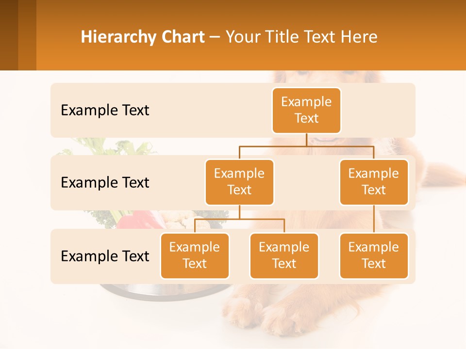 A Dog Sitting Next To A Bowl Of Vegetables PowerPoint Template