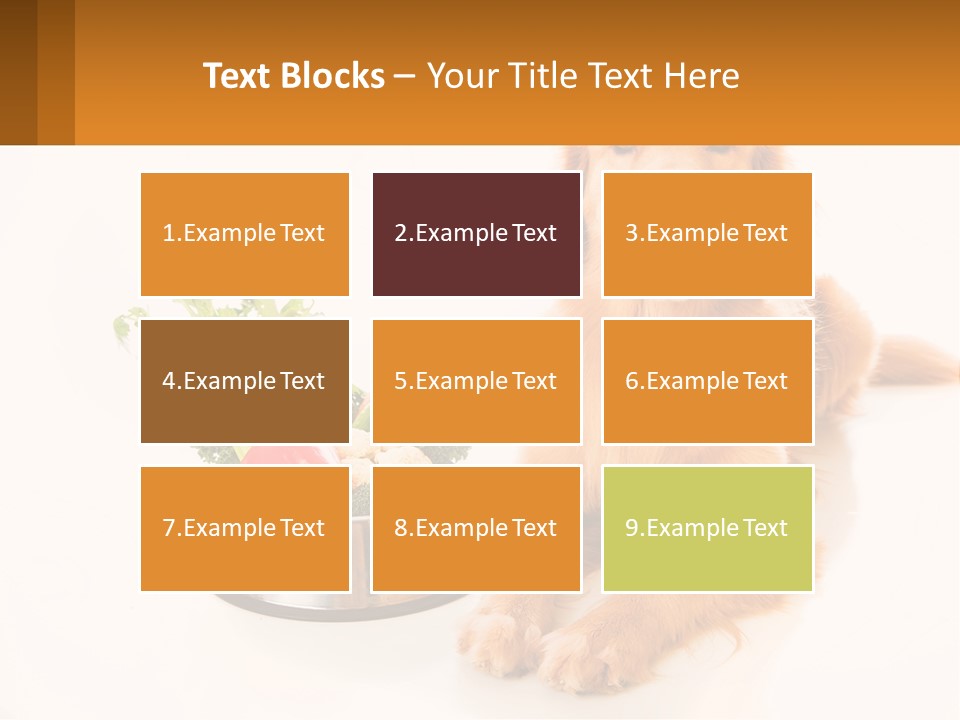 A Dog Sitting Next To A Bowl Of Vegetables PowerPoint Template