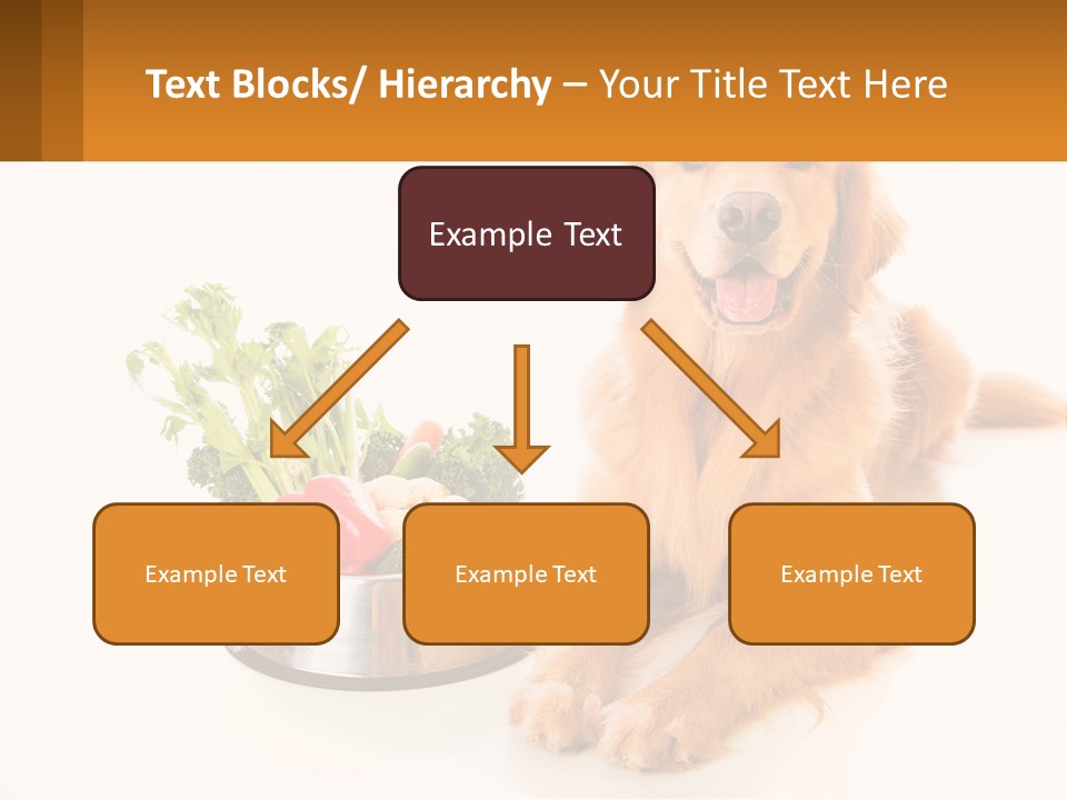 A Dog Sitting Next To A Bowl Of Vegetables PowerPoint Template