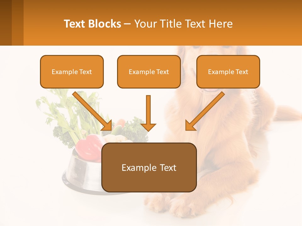 A Dog Sitting Next To A Bowl Of Vegetables PowerPoint Template