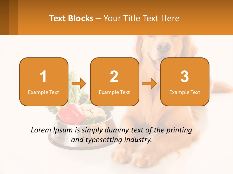 A Dog Sitting Next To A Bowl Of Vegetables PowerPoint Template