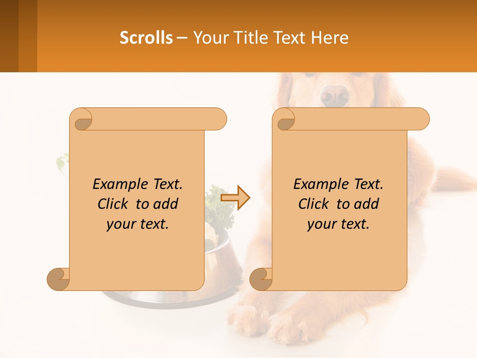 A Dog Sitting Next To A Bowl Of Vegetables PowerPoint Template