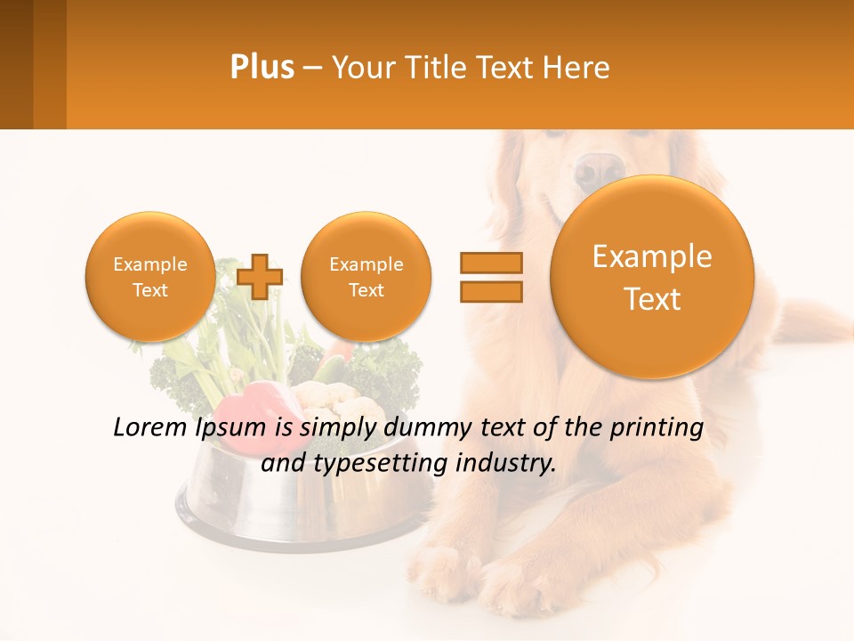 A Dog Sitting Next To A Bowl Of Vegetables PowerPoint Template