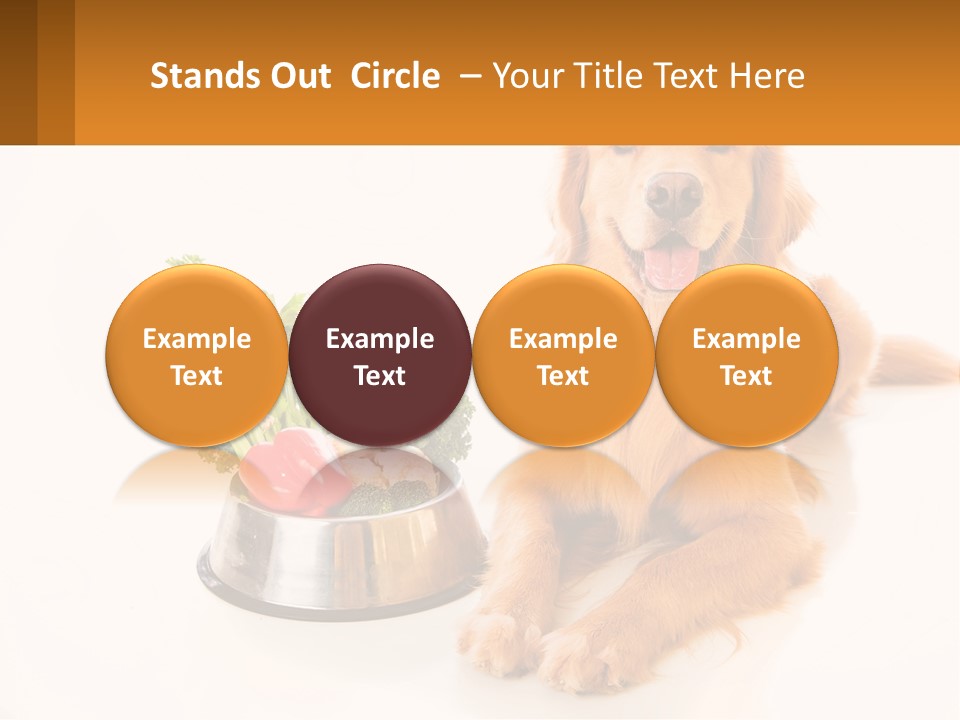 A Dog Sitting Next To A Bowl Of Vegetables PowerPoint Template