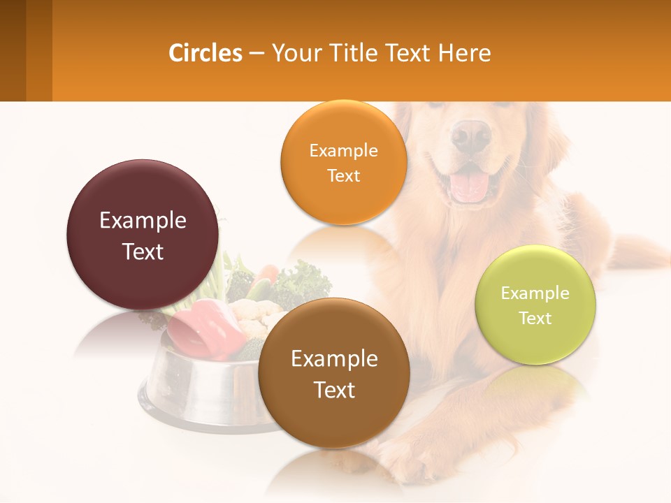 A Dog Sitting Next To A Bowl Of Vegetables PowerPoint Template
