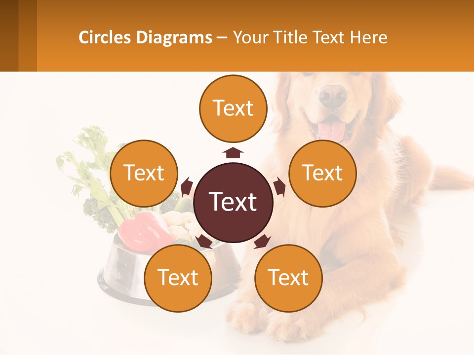 A Dog Sitting Next To A Bowl Of Vegetables PowerPoint Template